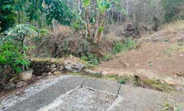 Tanah 100rb/m Sambirejo Sragen