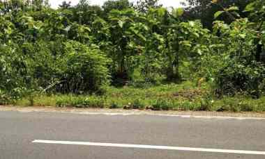 tanah 1057m hanya 5 menit dari karanganyar kota