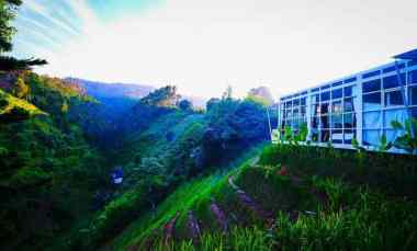 tanah 10ha bonus villa di lembang bandung utara