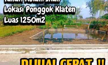 Tanah Dijual Ponggok Klaten 1250m2 Muka 12m untuk Hunian Kolam 550jt