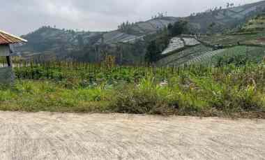 tanah 1500m kawasan wisata candi cetho karanganyar