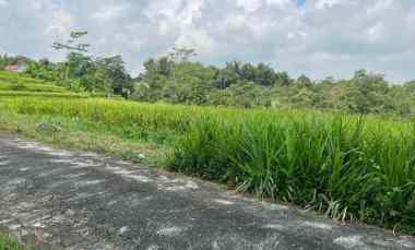 tanah 1600m barat pasar karangpandan