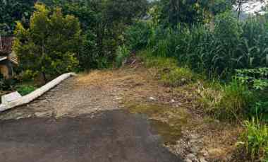 tanah 1640m utara candi cetho karanganyar timur