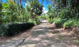 tanah 1748m hanya 175 juta mojogedang karanganyar