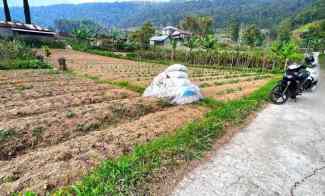 tanah 175 juta utara telaga madirda kemuning