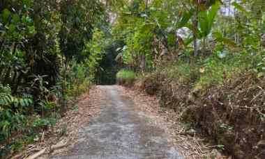 tanah 1800m udara dingin karangpandan