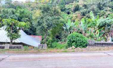 tanah 2 hektar dekat aliran sungai karanganyar