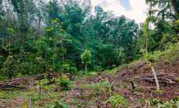 tanah 2000m dekat sungai karanganyar