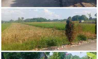 tanah 2035m2 dt wisata ponggok klaten 800jt nego