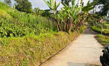 tanah 2320m view istimewa wisata ngargoyoso