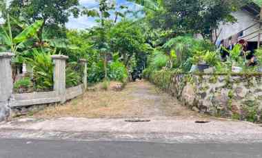 tanah 2500m hanya 300 juta karangpandan