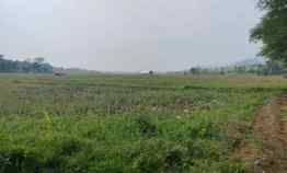 Tanah 3 Hektar Pinggir Jalan Rumpin Bogor