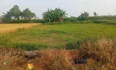 tanah 3300m2 muka 20 meter dekat wisata janti klaten