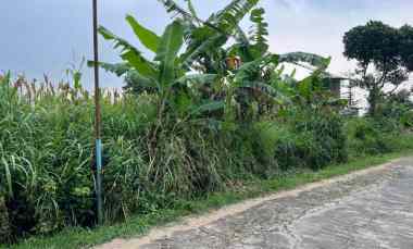 tanah 3550m cocok untuk kebun buah karanganyar