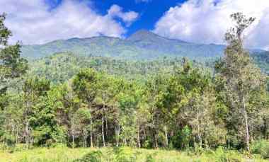 tanah 4 hektar siap bangun wahana wisata karanganyar