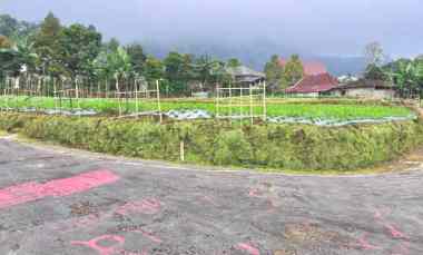 Tanah 400m View Hutan Pinus Kemuning Karanganyar