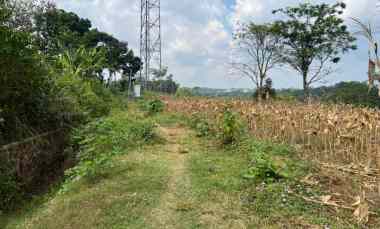 tanah 4720m hanya 5 menit dari pasar mojogedang