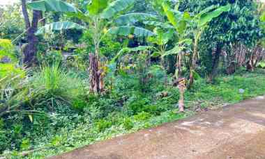 Tanah 55 juta dekat Pasar Jambangan Kedawung Sragen