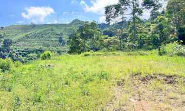 tanah 5971m cocok untuk wisata view kebun teh kemuning