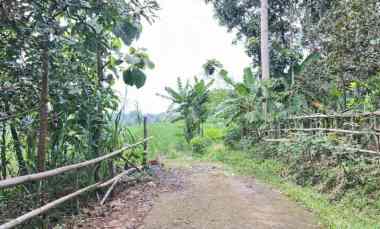 tanah 6000m cocok untuk peternakan karanganyar