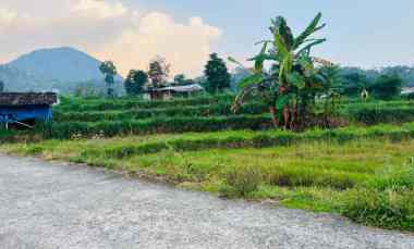 tanah 600m kawasan wisata karangpandan