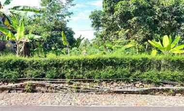 tanah 800m cocok untuk rumah tinggal karanganyar