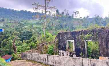 tanah 800m view perkebunan teh karanganyar