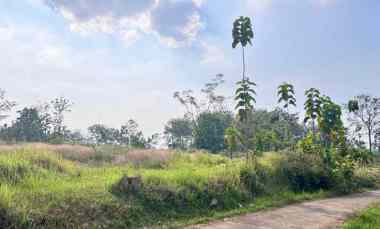 tanah 8200m 200rb m kerjo karanganyar utara