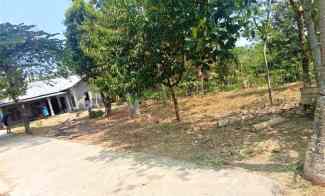 tanah 900m2 hanya 150 juta ngargoyoso karanganyar