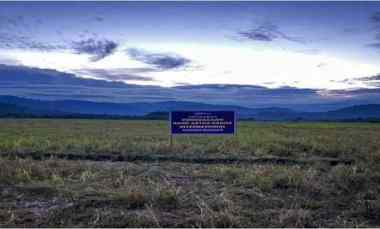 tanah 9748 m2 harga terjangkau cocok untuk pertanian