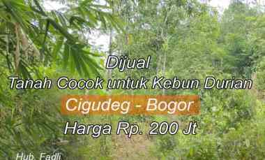 tanah argapura cigudeg kab bogor