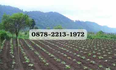 tanah bagus resort dekat ke kawasan wisata lembang