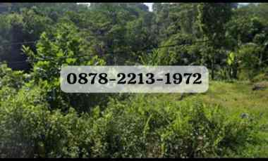 tanah bagus untuk perumahan cluster di leuwiliang