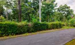 tanah barat pasar karangpandan