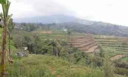 Tanah Murah View Cantik 22 Hektar di Batunya Baturiti Tabanan Bali