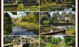 Jual Tanah Kolam dan Pembibitan Ikan Plus Rumah Singgah di Purwokerto