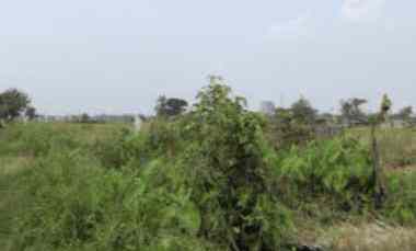 tanah bekas kolam lingkungan pertanian