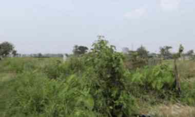 tanah bekas kolam murah meriah