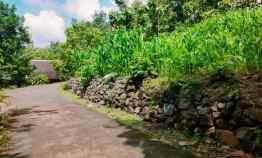 tanah bendungan kedawung sragen