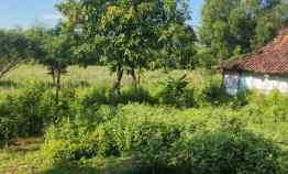 tanah berbek nganjuk