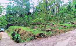 Tanah Bonus Kebun Jambu Ngargoyoso Karanganyar