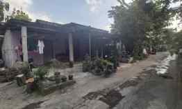 Tanah Bonus Rumah di Prambanan, Property Murah Jogja