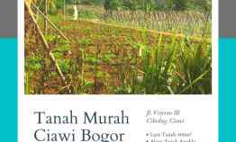 Tanah Dijual di Cibedug, Ciawi Kabupaten Bogor