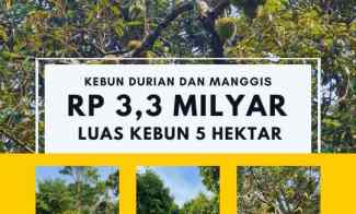 Jual Kebun Durian Jawa Barat