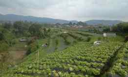 Tanah Murah Lembang di Bandung Barat
