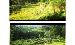 Tanah Daerah Bukanagara Subang Jawa Barat