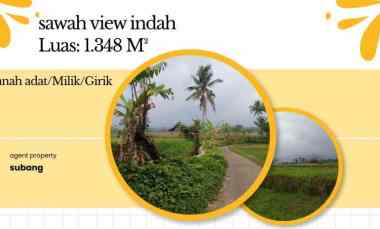 tanah daerah sekitar ciater subang jawa barat