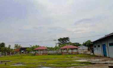 tanah dan desel padi di batujaya karawang