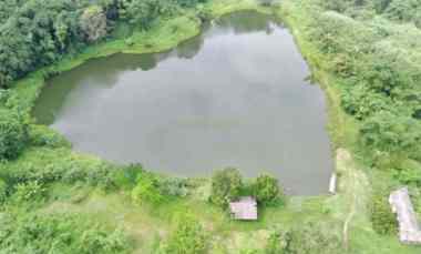 Tanah Dapat Situ / Danau, Ada Pohon Buah Nya, Subang