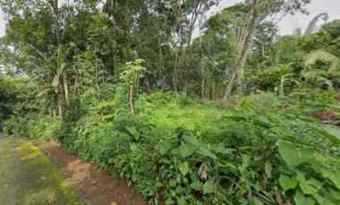 tanah datar 1471m barat pasar karangpandan